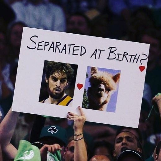 40 Of The Best And Funniest Random Signs