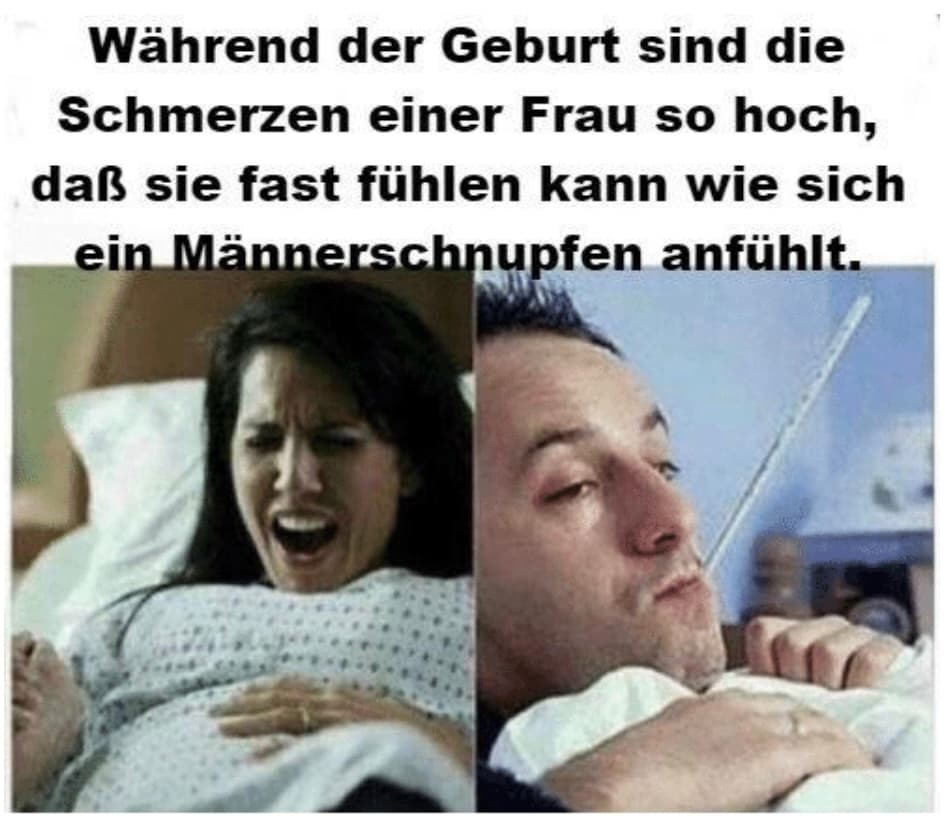 Picture Placeholder Witzigste Schwan Gerschaft Memes 2