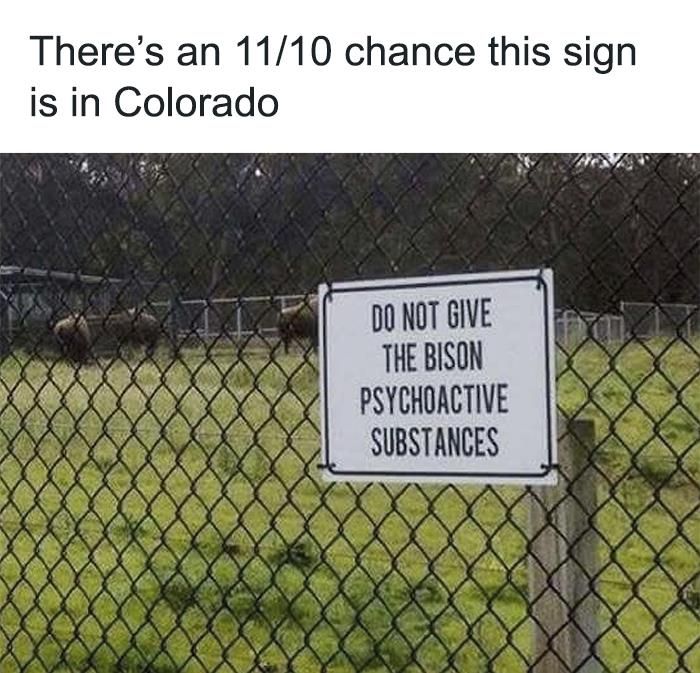 40 Of The Best And Funniest Random Signs