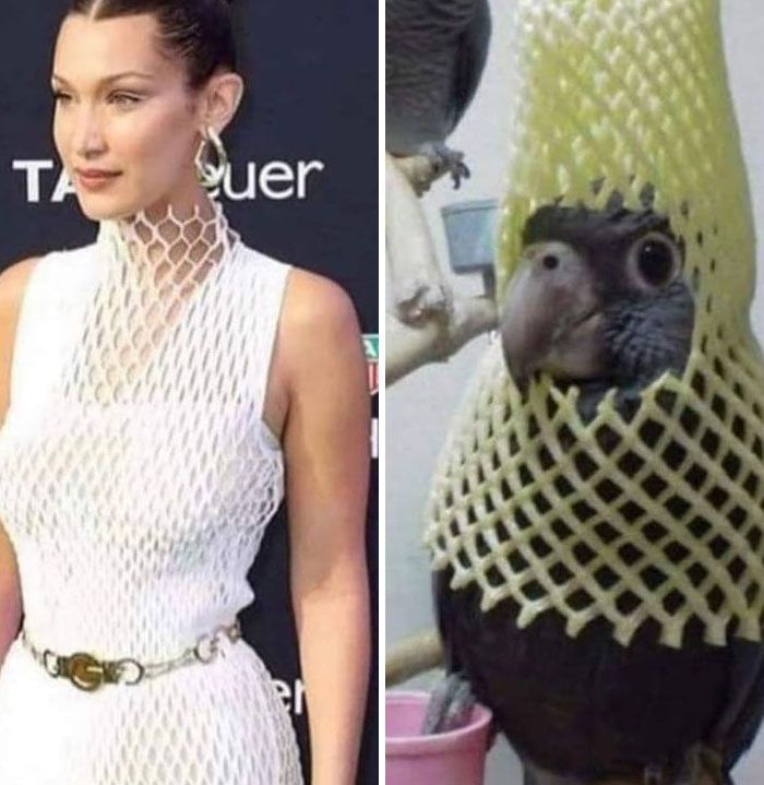 30 Hideous Dresses That Should Have Never Been Made
