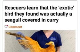 30 Terrific ‘Mental Uk Headlines’ That Are 100% British