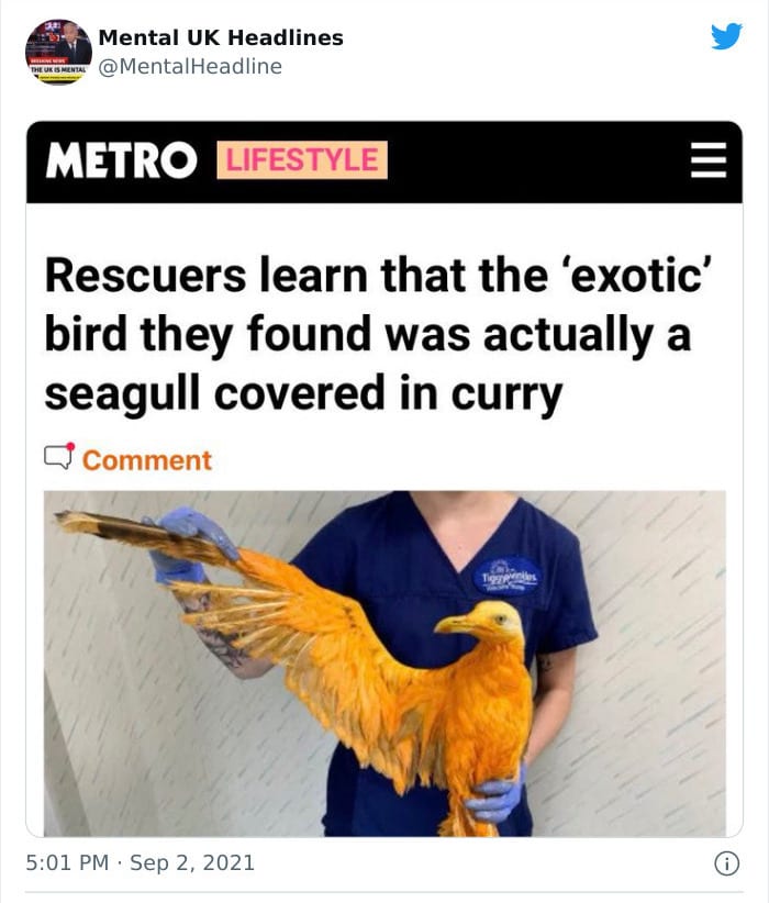 30 Terrific ‘Mental Uk Headlines’ That Are 100% British
