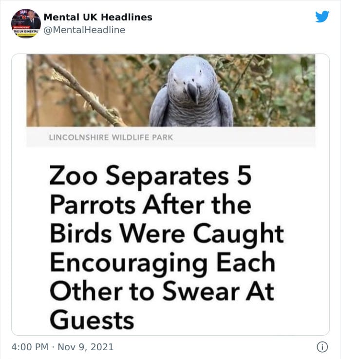 30 Terrific ‘Mental Uk Headlines’ That Are 100% British