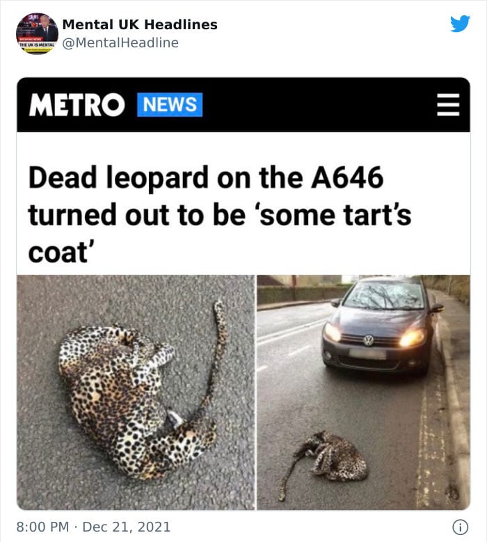 30 Terrific ‘Mental Uk Headlines’ That Are 100% British