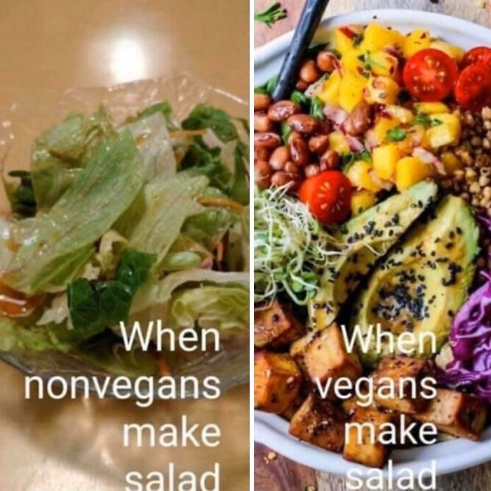 30 Hilarious Times Vegans Got Bullied On The Internet