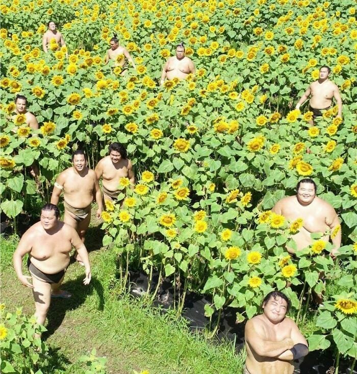30 Weirdly Funny Unexplained Japanese Pictures With Out Any Context