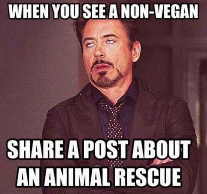 30 Hilarious Times Vegans Got Bullied On The Internet