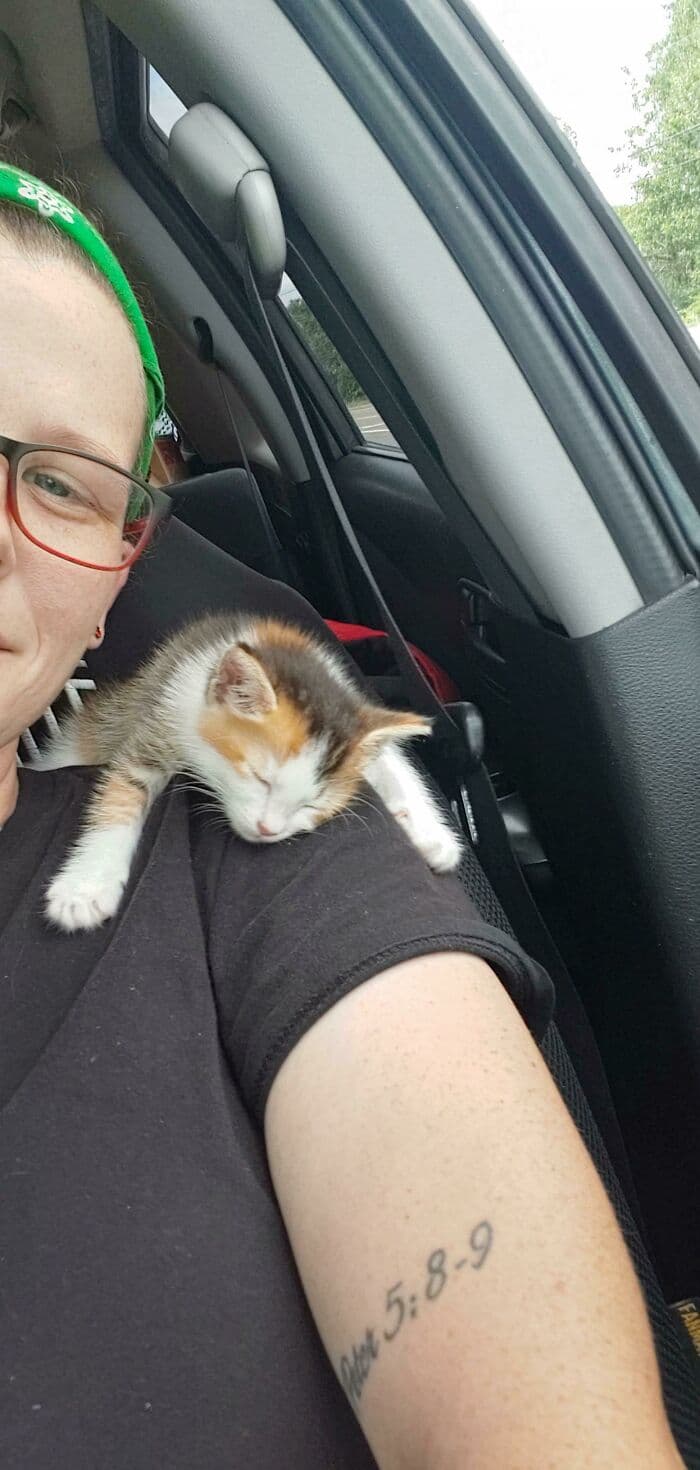 30 Wholesome And Necessary Cat Pics 