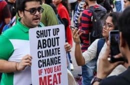 30 Hilarious Times Vegans Got Bullied On The Internet