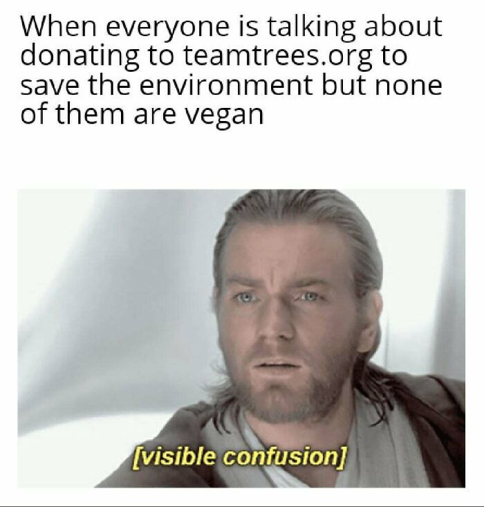 30 Hilarious Times Vegans Got Bullied On The Internet