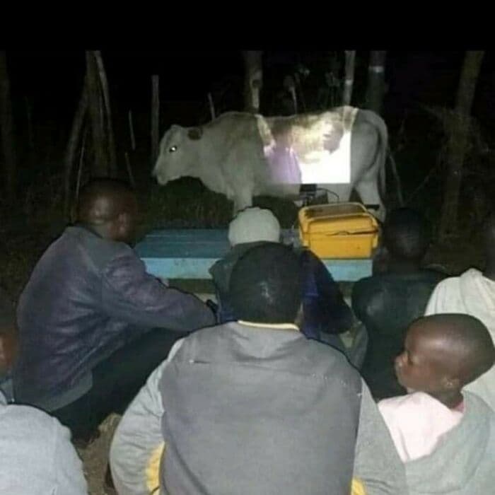 30 Spectacularly Weird Pictures That Will Definitely Confuse You