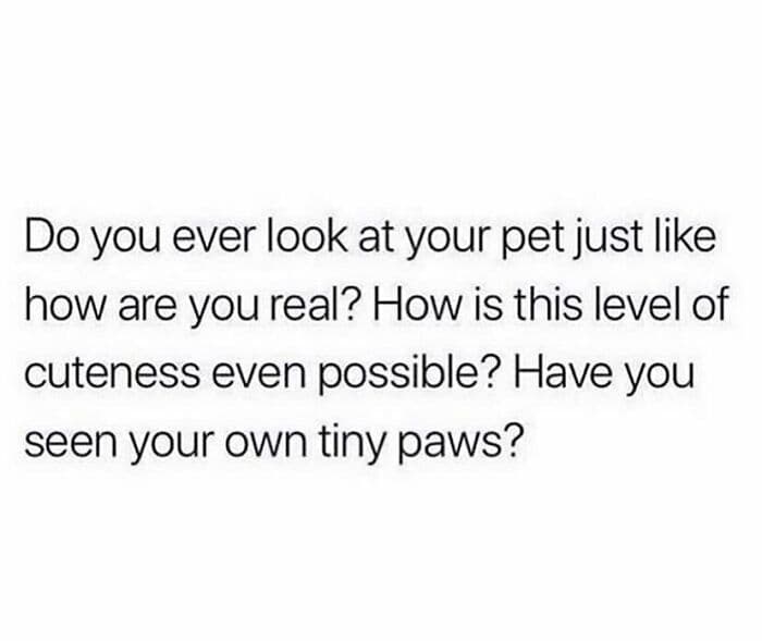 30 &Quot;Painfully 30&Quot; Memes That All Millennials Will Relate To 