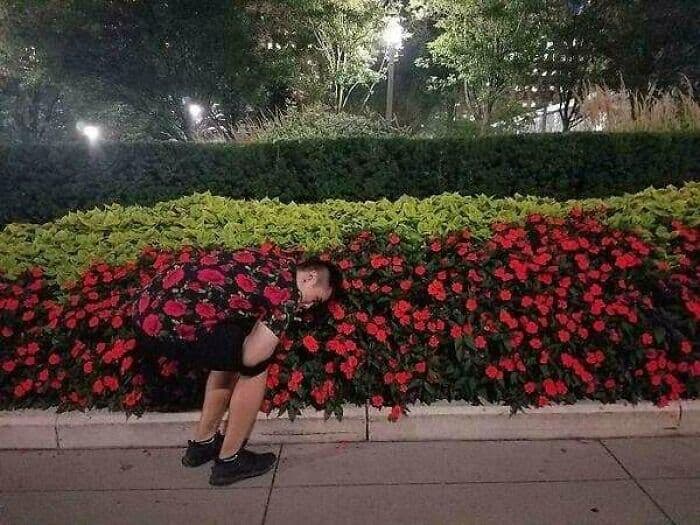 30 Spectacularly Weird Pictures That Will Definitely Confuse You