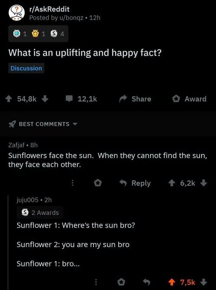 30 Of The Funniest Comments The Internet Has To Offer