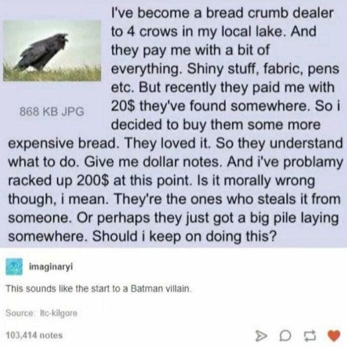 30 Of The Funniest Comments The Internet Has To Offer