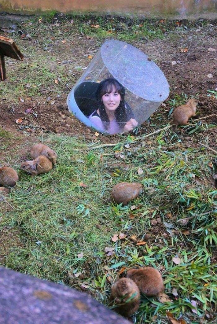 30 Weirdly Funny Unexplained Japanese Pictures With Out Any Context