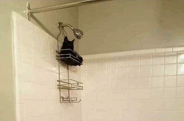 30 Of The Weirdest And Unaesthetic Images You'Ll Ever See
