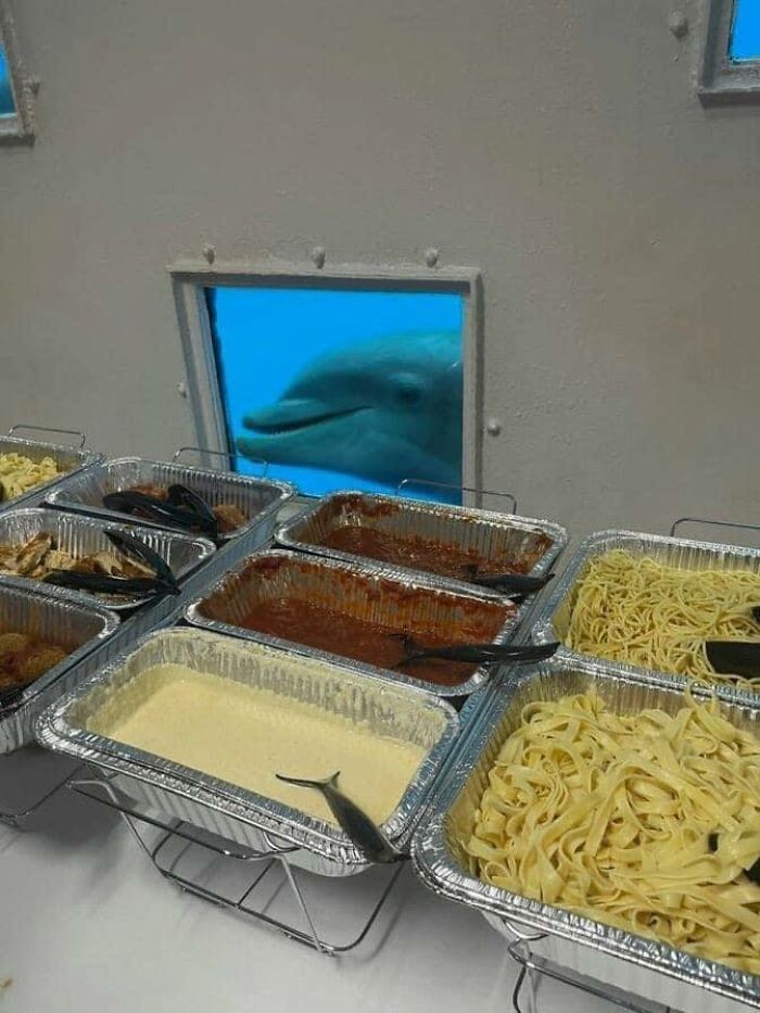 30 Of The Weirdest And Unaesthetic Images You'Ll Ever See