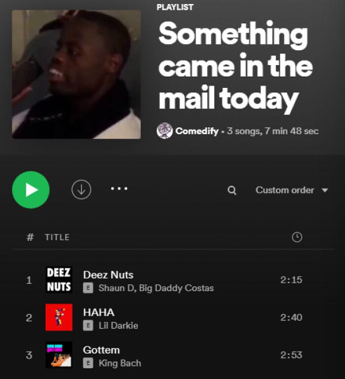 30 Perfectly Put Together Playlists That A Just To Funny To No Laugh At