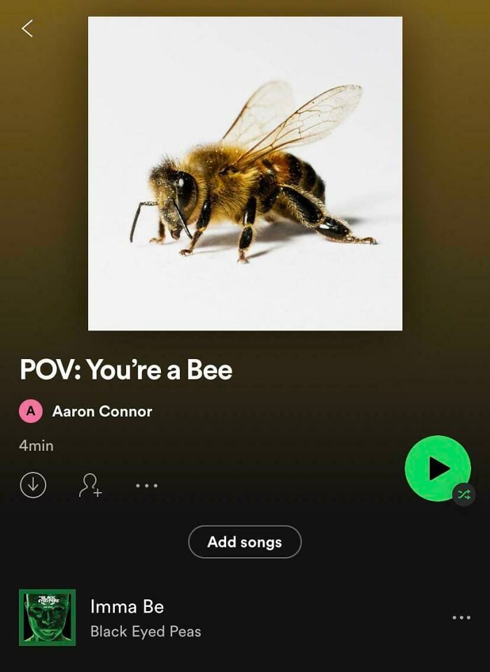 30 Perfectly Put Together Playlists That A Just To Funny To No Laugh At
