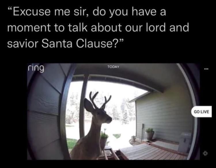 Top 26 Funny Animal Jokes You'Ve Gotta See 6