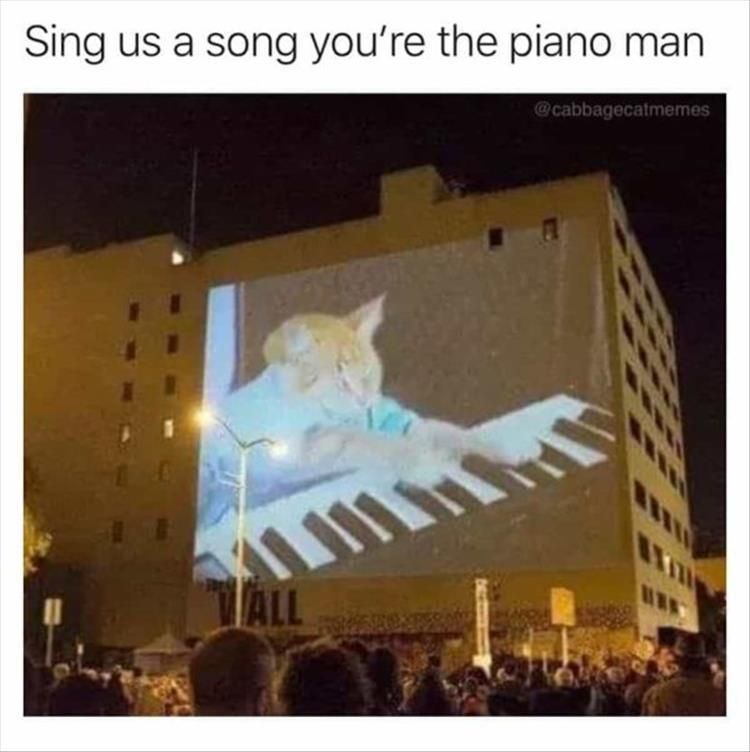Top 26 Funny Animal Jokes You'Ve Gotta See 11