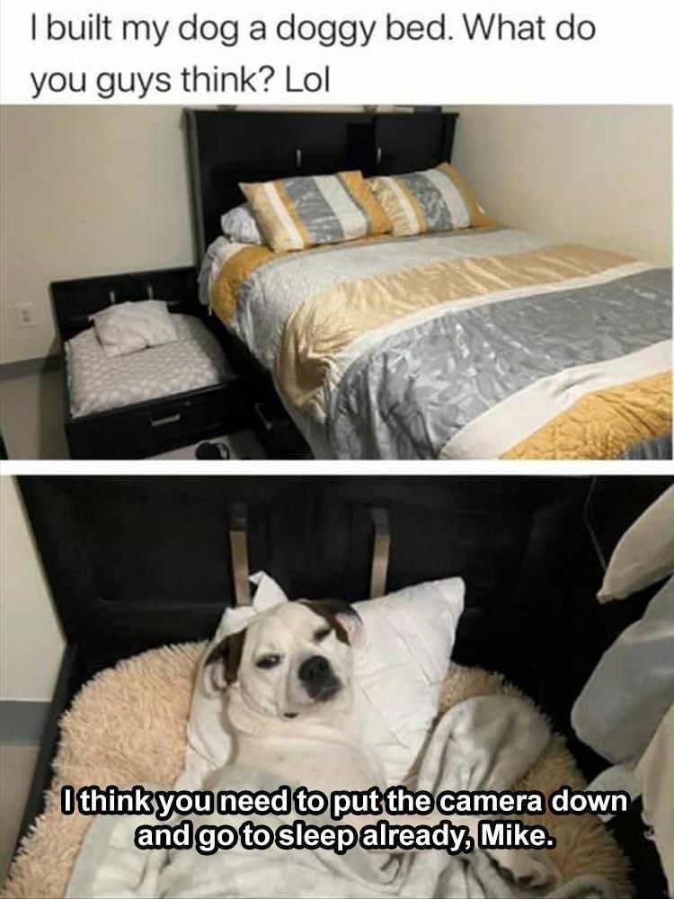 Saturdays Top 26 Funny Animal Memes 6291F3576786C
