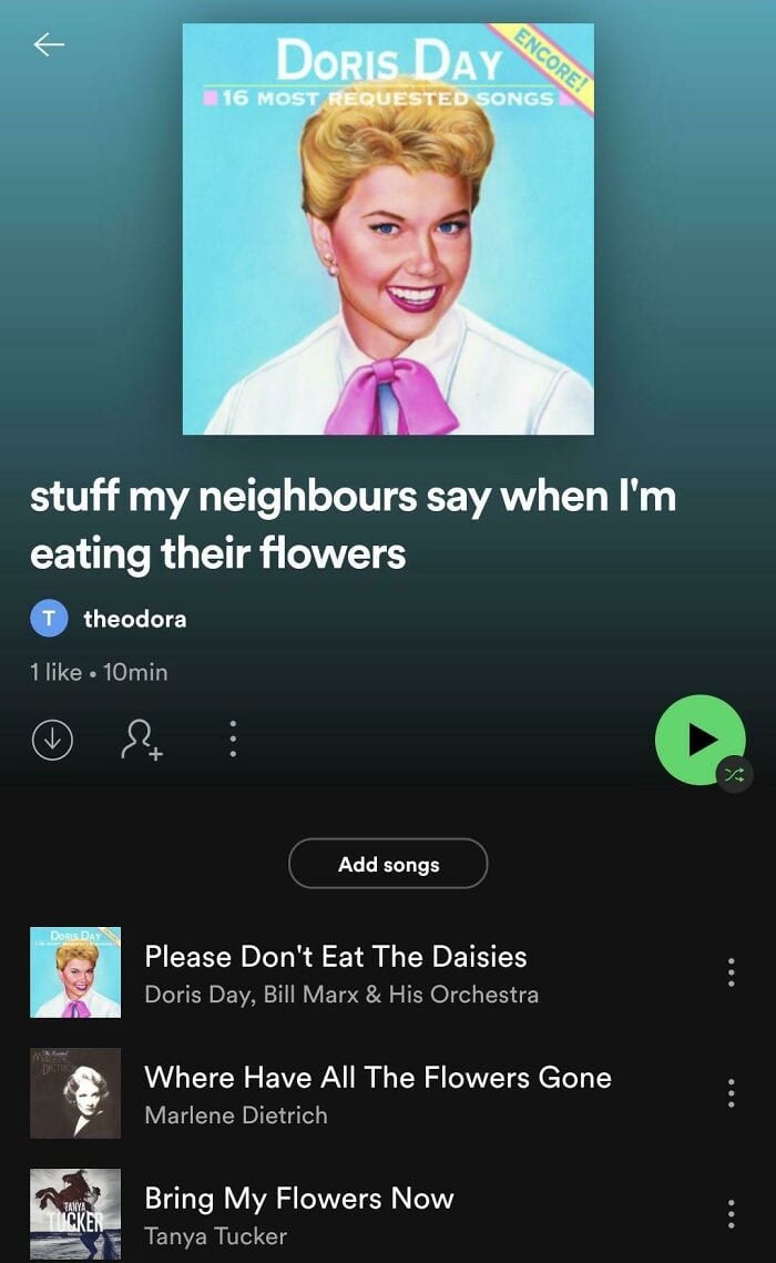30 Perfectly Put Together Playlists That A Just To Funny To No Laugh At