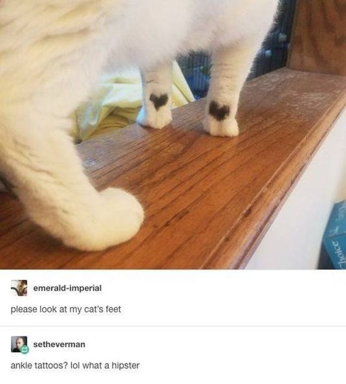 50 Wholesome Memes That Remind Us The World Isn’t All Bad