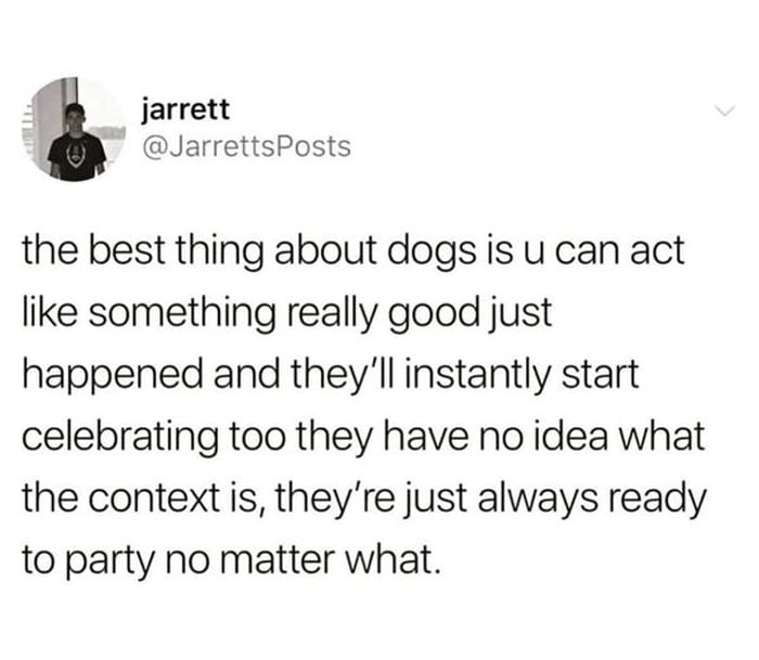 50 Wholesome Memes That Remind Us The World Isn’t All Bad