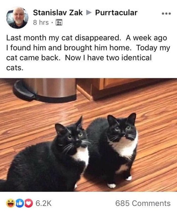 50 Wholesome Memes That Remind Us The World Isn’t All Bad