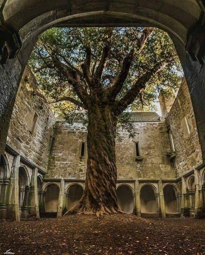 30 Amazing And Breathtaking Abandoned Locations