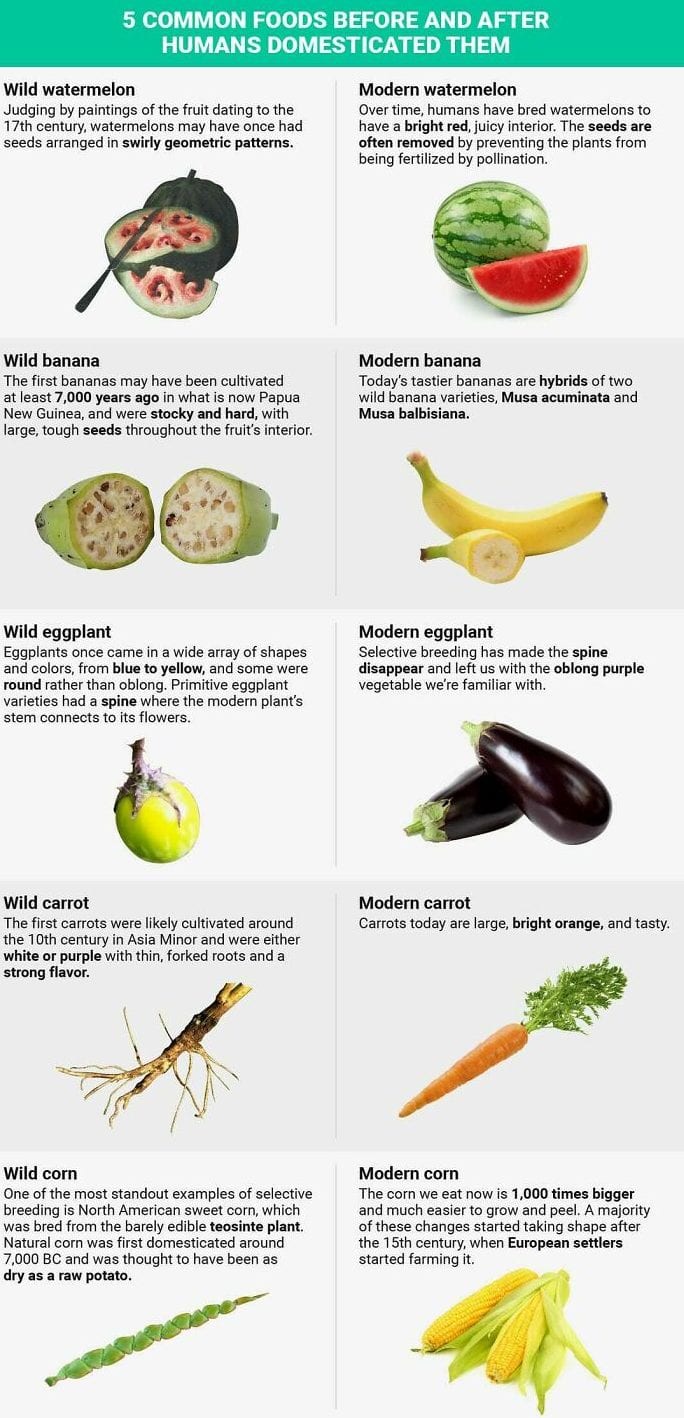 30 Extremely Helpful Tips And Facts About Food That You Probably Didn't Know