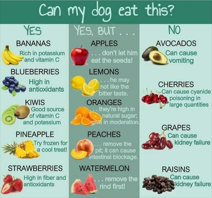 30 Extremely Helpful Tips And Facts About Food That You Probably Didn't Know