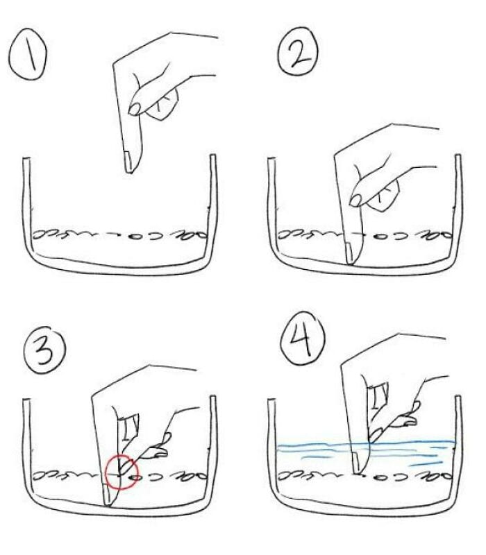 30 Extremely Helpful Tips And Facts About Food That You Probably Didn't Know
