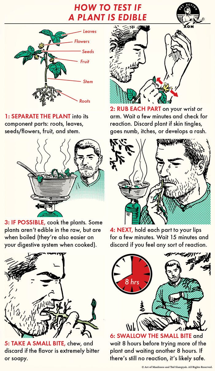 30 Extremely Helpful Tips And Facts About Food That You Probably Didn't Know