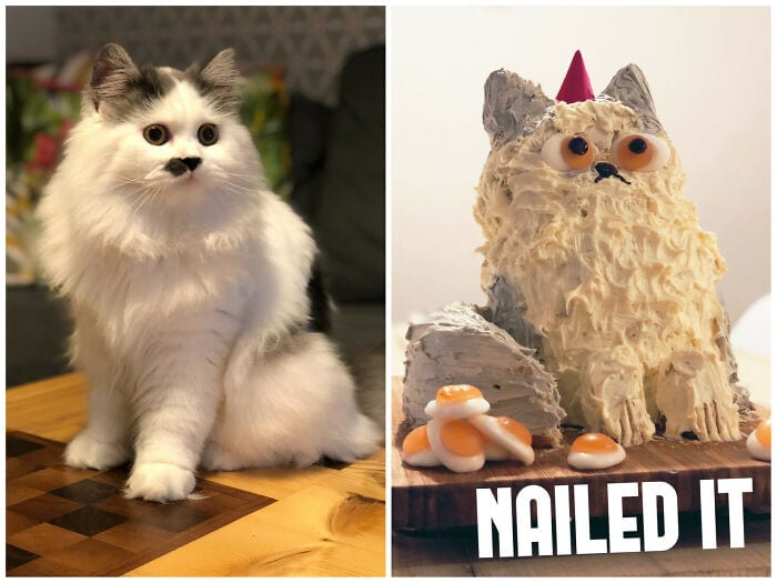 50 Hilarious Times People Tried To 'Diy'