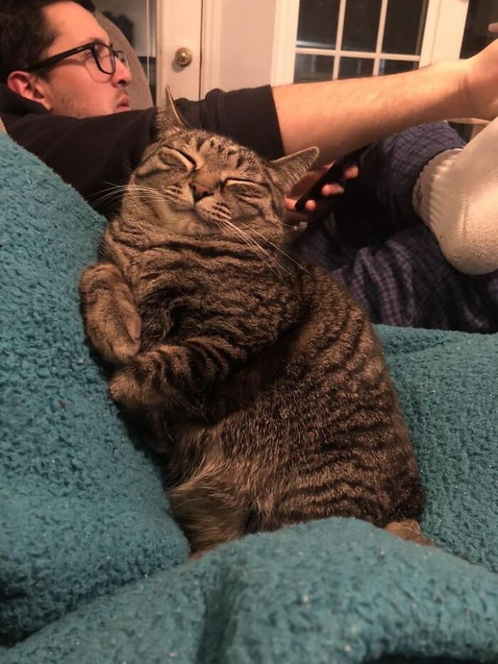 30 Extremely Adorable Cat Pics !