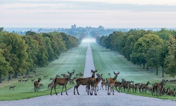 40 Of The Most Beautiful Historic Castles 
