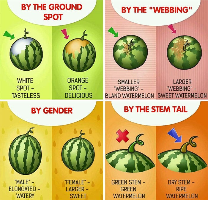 30 Extremely Helpful Tips And Facts About Food That You Probably Didn't Know
