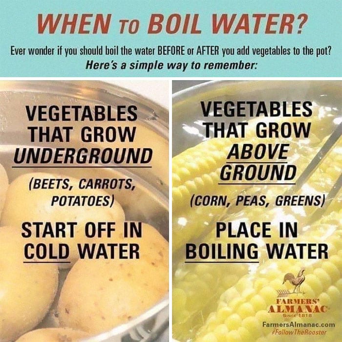 30 Extremely Helpful Tips And Facts About Food That You Probably Didn't Know
