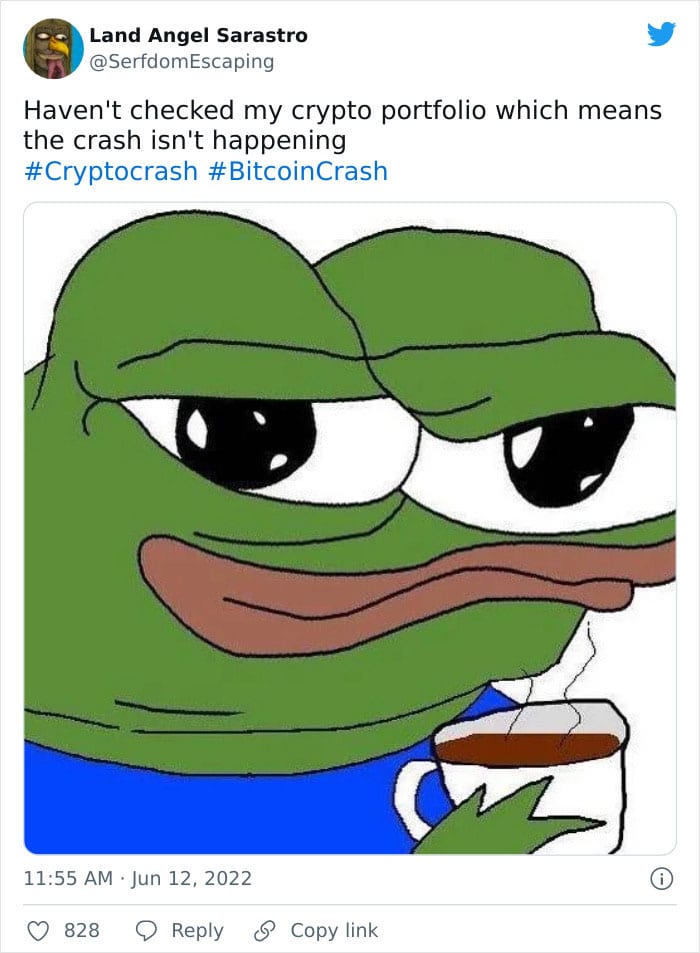  30 Hilarious Memes Regarding The Cryptocurrency Crash 