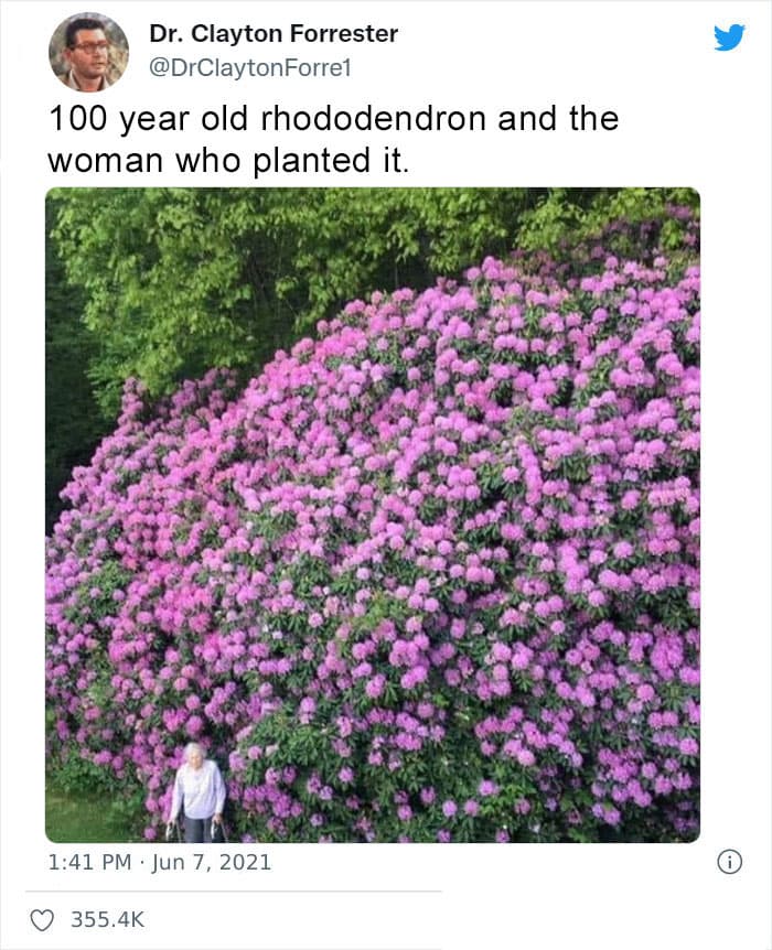 50 Wholesome Pics To Heal Your Soul