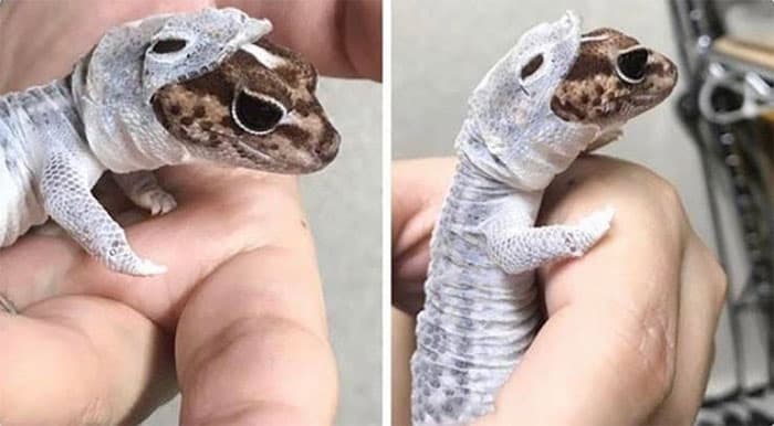 50 Wholesome Pics To Heal Your Soul