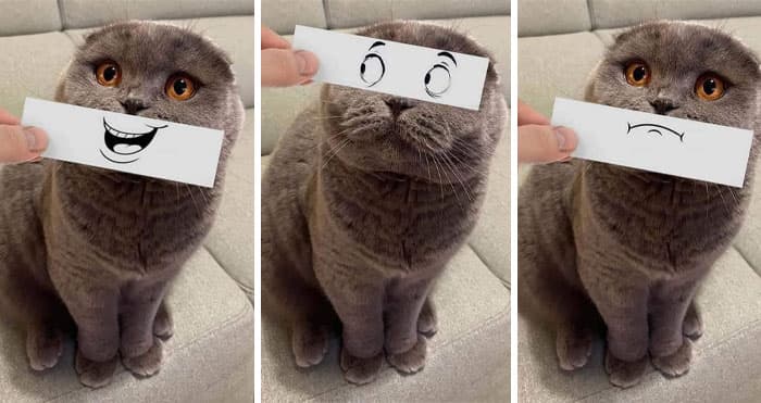 50 Wholesome Pics To Heal Your Soul