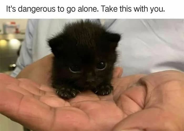 50 Wholesome Pics To Heal Your Soul
