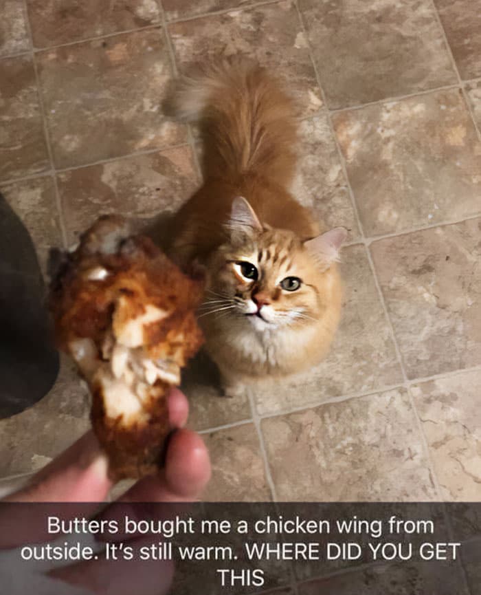50 Wholesome Pics To Heal Your Soul