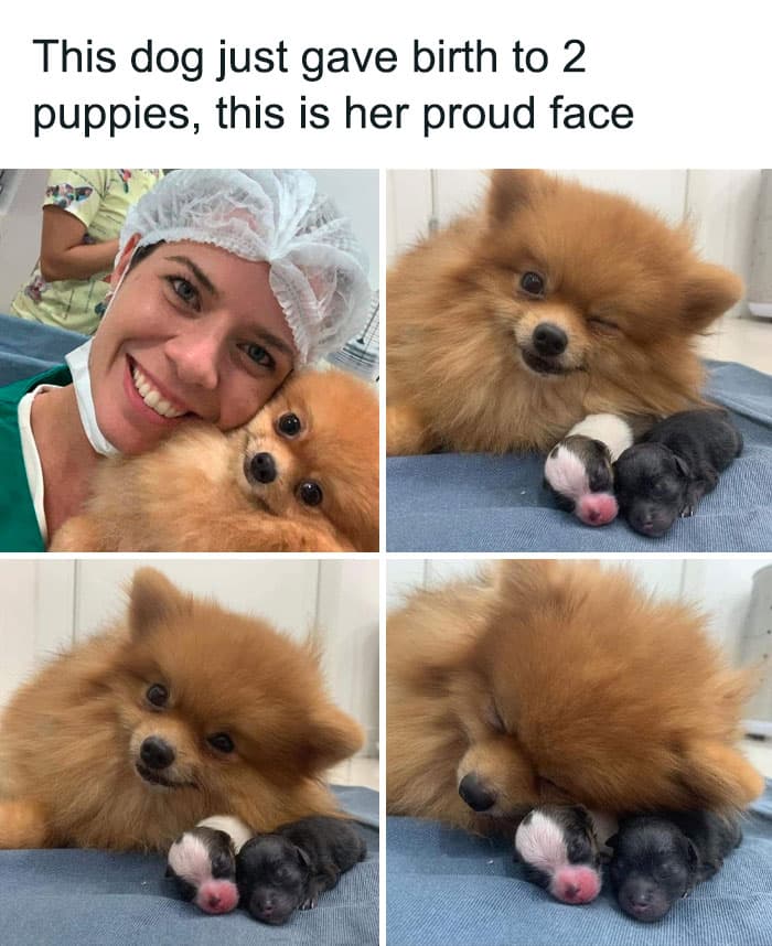50 Wholesome Pics To Heal Your Soul