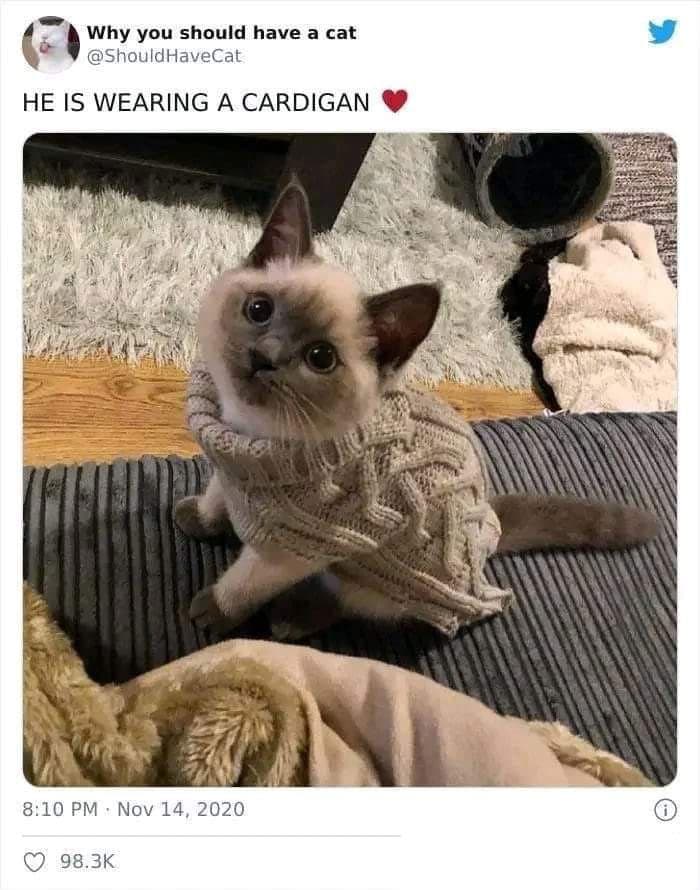 50 Wholesome Pics To Heal Your Soul