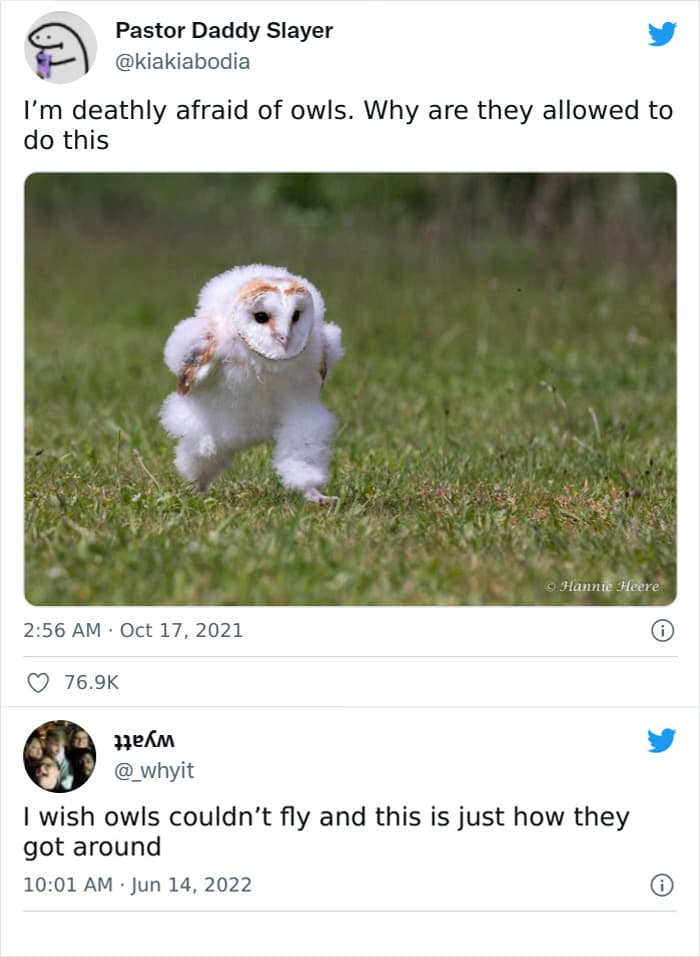 50 Wholesome Pics To Heal Your Soul